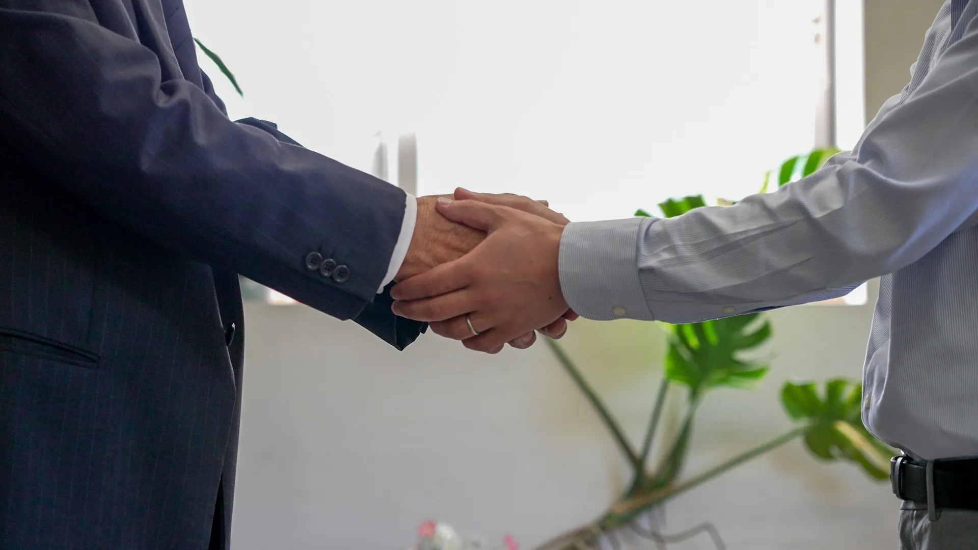 企業・営業許可